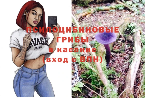 экстази Арсеньев